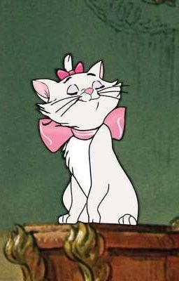 Sonbinh☆ chat