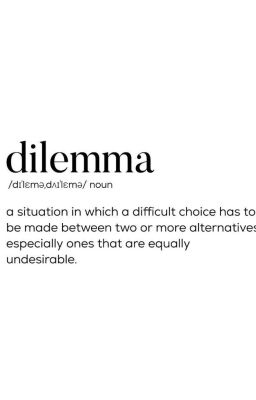 sonbinh☆dilemma☆