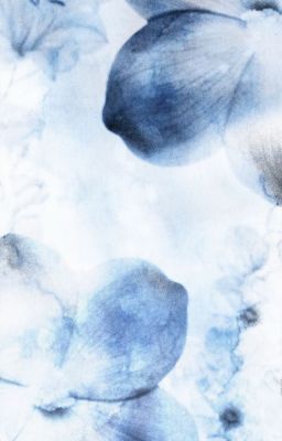 sonbinh ✧ in my dreams