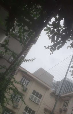 《 SonBinh 》Peace