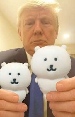 [sonbinh] phát cơm chó