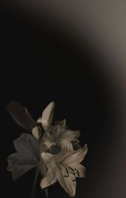 Sonbinh • The Puppet Master's Symphony