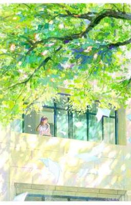 [Song Tử  - Thiên Yết]  Lời Chưa Nói