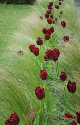 sonknegav | bạn bé đáng iu. 