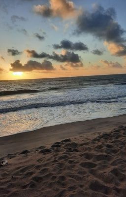 [sonkxnegav] An ăn cơm chưa?