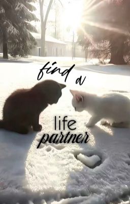 soojun  | find a life partner .ᐟ