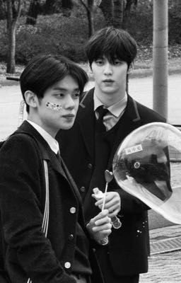 soojun; trái dấu