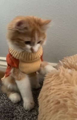 |soonhoon| nhầm giờ!