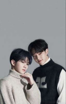 [Soonhoon][Textfic] Thích nhau hơi nhiều