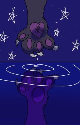 Sparkles reflection