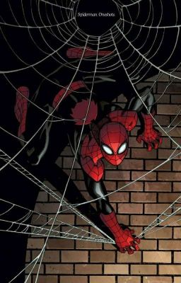 Spiderman Oneshots (Completed)
