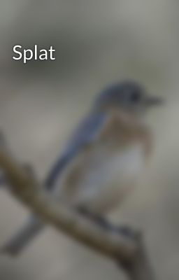 Splat