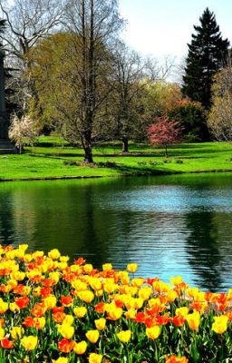 spring 