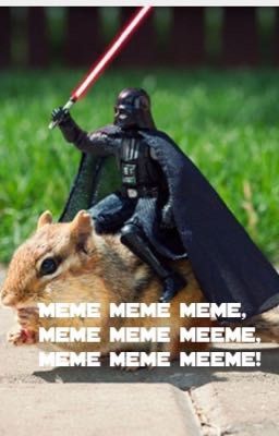 Star Wars Memes