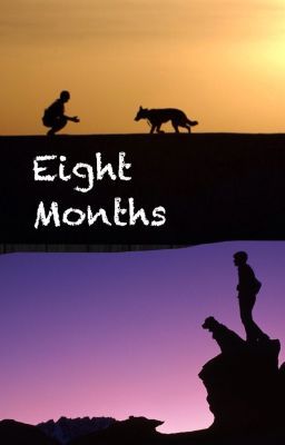 Star Wars The Clone Wars: Eight Months