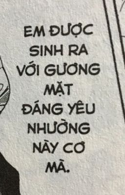 [ Stay x Tictoc ] Cô nàng khác người 