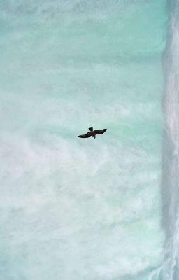 [Stranger Things] Dưới chân thác Mơ