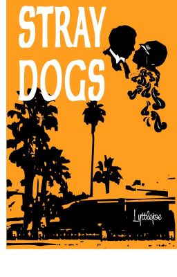 Stray Dogs