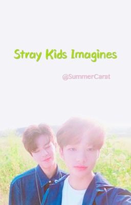 Stray Kids Imagines