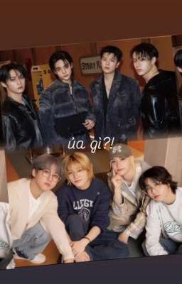 straykids | ủa gì?!