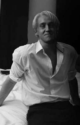 Sự Chữa Lành [Draco Malfoy × Reader]
