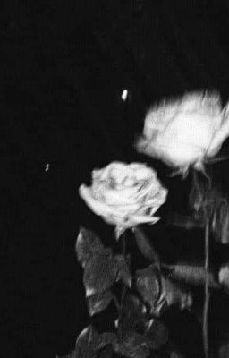 Sự Hiểu Lầm Giữa Chúng Ta