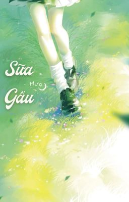 Sữa Gấu