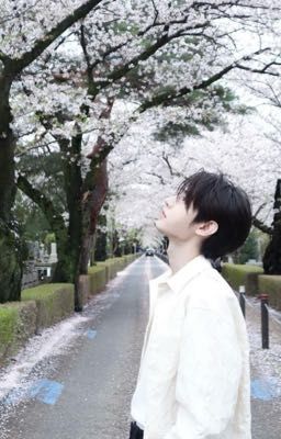 [sunghoon x y/n] Thuở ấy