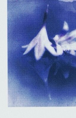 sunki | smut • spring fever;