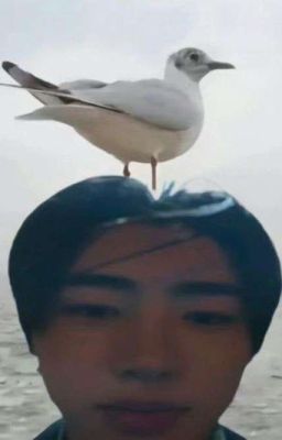 |SUNSUN/TRANS| Không ràng buộc, chẳng tiếc nuối