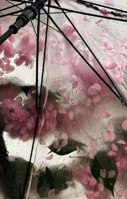 Sương | Sonbinh