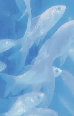 [SuoSaku]Tàn ngày để lại