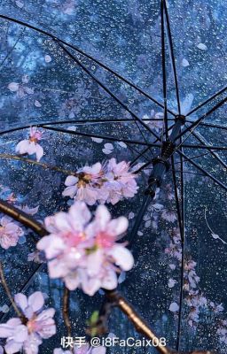 [SuoSaku]Trời quang mây tạnh