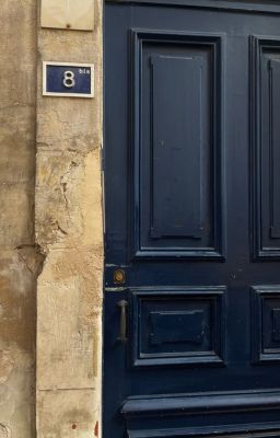 Svt • Fleur de camélia rouge