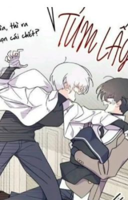 [Swan x Hylli] Những ngày ở học viện