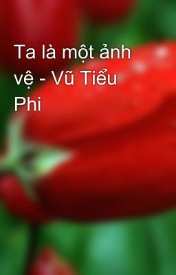 Ta là một ảnh vệ - Vũ Tiểu Phi