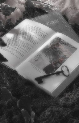 Taegyu メ Huyết lệ