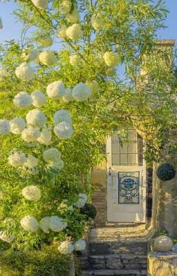 Taekook / Chiếm hữu (Xuyên Không)