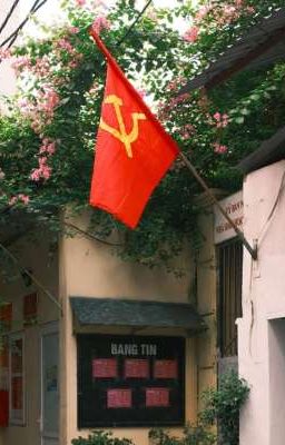 taekook | em giữa mùa giải phóng.