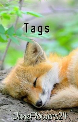 Tag Book