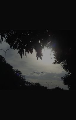 Tập thơ của kẻ đang mơ