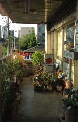 [ tbtn | 527 ] gnasche