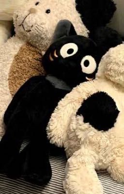 [tbtn] hình bóng cũ