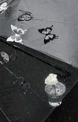 tbtn • phòng không khoá