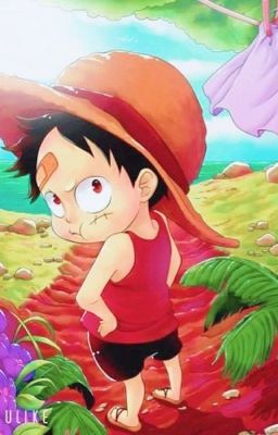 Tên Hán Việt của nhân vật trong One Piece!!!