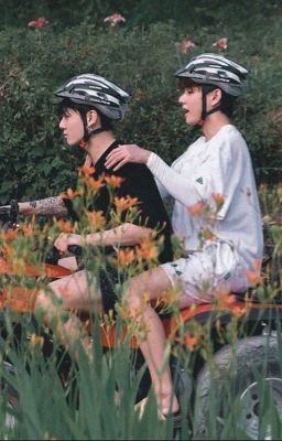 Text | Trái Ngang Cho Cuộc Tình Đôi Ta • Taekook