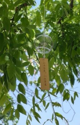 |textfic| 9779 - 11 cách tỏ tình