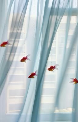 [textfic] | keonhyeon | dizzy daisy