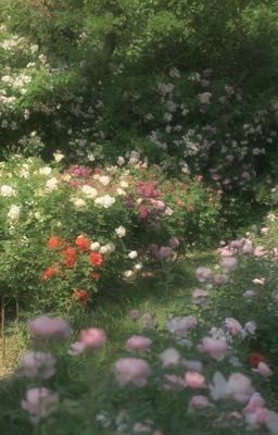 [textfic] really like you