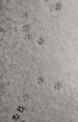 -||textfic||- seasons.